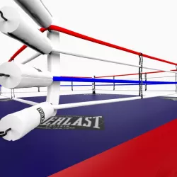 Boxing Ring 3d model