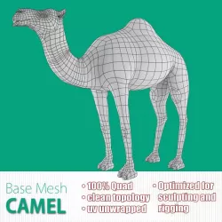 Camel Base Mesh 3d model