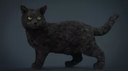 Cat 3d model
