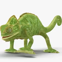 Chameleon Rigged 3d model