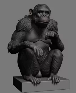 Chimp 3d model