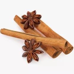 Cinnamon Spice 3d model