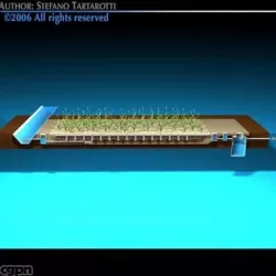 Constructed wetland 3d model