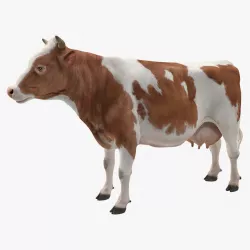 Cow 3d model