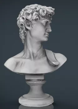 David Bust 3d model