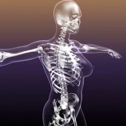 Female Skeleton in transparent Woman Body 3d model