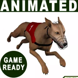 Greyhound Dog Real-Time 3d model