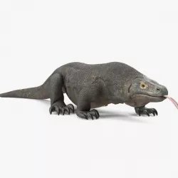 Komodo Dragon Walking Pose 3d model