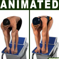 Male And Female Swimmer CG 3d model