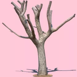 Michelle Branch 3d model