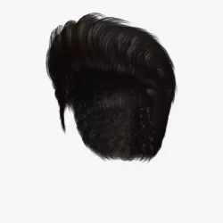 Paul Hair 3d model