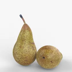 Pear 3d model