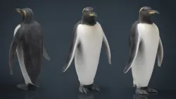 Penguin 3d model