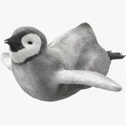 Penguin Baby Swimming Pose 3d model
