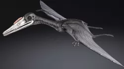 Pterodactylus 3d model