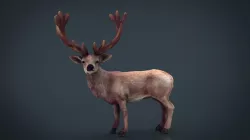 Red Deer 3d model