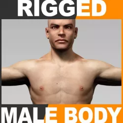 Rigged Human Male Body 3d model