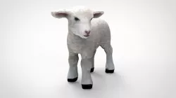 SHEEP 3d model