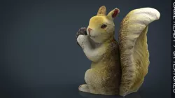 Squirrel 3d model