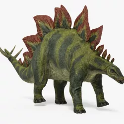 Stegosaurus Rigged 3d model