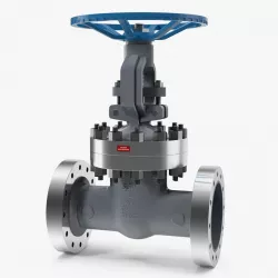 Stem Resilient Wedge Gate Valve 3d model