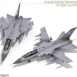 Tornado ADV RAF 3d model