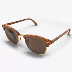 Tortoise Sunglasses 3d model