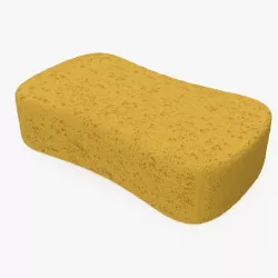 Washing Sponge 3d model