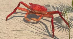 Alaskan King Crab Walking Pose 3d model