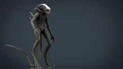 Alien Xenomorph 3d model