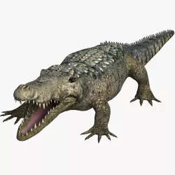 Alligator 3d model