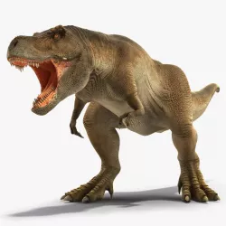 Animated Tyrannosaurus Rex Roaring Rigged 3d model