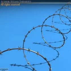 Barbed wire 3d model