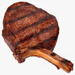 BBQ Long Bone Ribeye 3d model