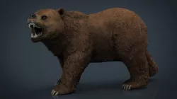 Bear 3d model