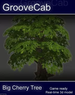 Big Cherry Tree 3d model
