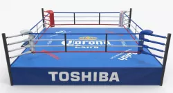 Boxing Ring 3d model
