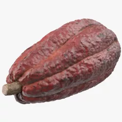 Brown Cocoa Fruit 3d model