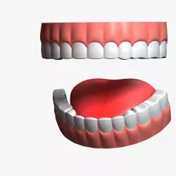 Cartoon Teeth 3d model
