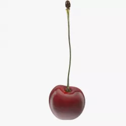 Cherry 3d model