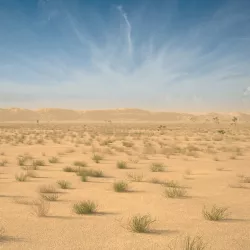 Desert Landscape 3d model