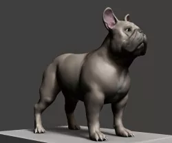 Dog 3d model