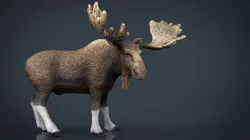 ELK 3d model