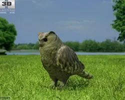 Eurasian Eagle-Owl (Bubo Bubo) 3d model