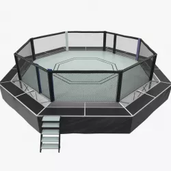 Fighting Octagon Arena 3d model