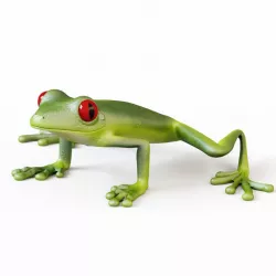 Frog 3d model