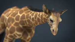 Giraffe 3d model