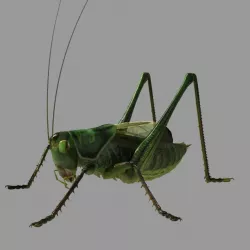 Grasshopper 3d model