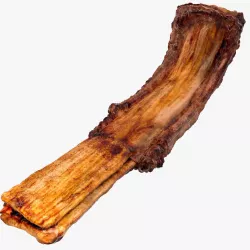 Grilled Rib 3d model