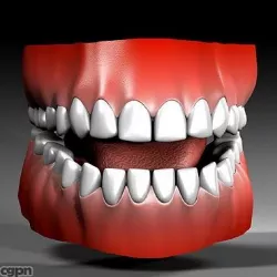 Human Mouth 3d model